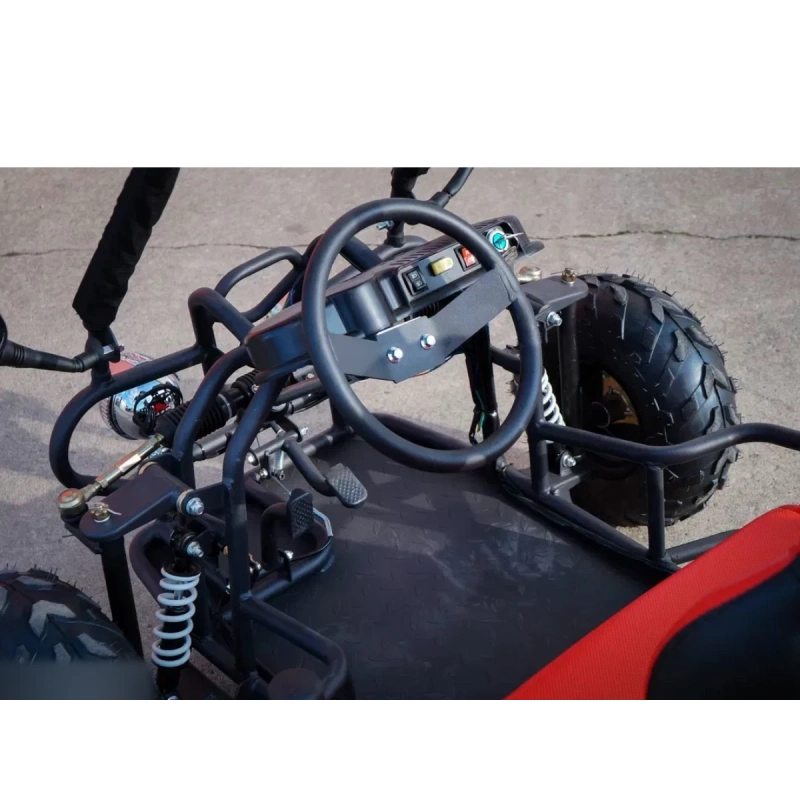 Pojazd dziecięcy spalinowy dwuosobowe mini BUGGY BS 125cc - 50km/h