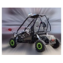 Pojazd dziecięcy elektryczny dwuosobowy mini E-BUGGY - 800W - 30km/h