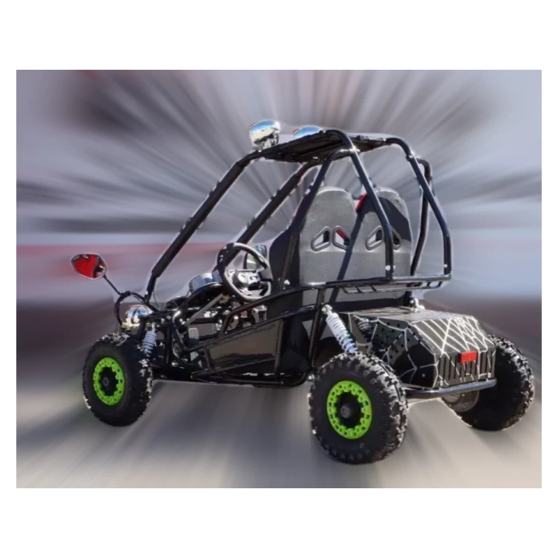 Pojazd dziecięcy elektryczny dwuosobowy mini E-BUGGY - 800W - 30km/h
