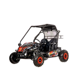 Dwuosobowe elektryczne mini buggy - POWER BUGGY X2 - 1500W - 40km/h - czerwony