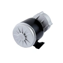 Silnik elektryczny szczotkowy 1016Z DC 24V 350W - do skutera quada gokarta roweru