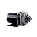 Silnik szczotkowy prądu stałego z motoreduktorem PM 1020ZXF 36V 800W