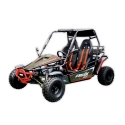 Dwuosobowe buggy spalinowe Asix 200cc dla nastolatków i dorosłych - zielony