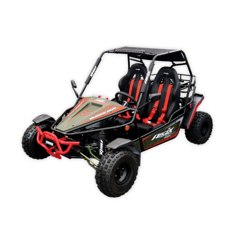 Dwuosobowe buggy spalinowe Asix 200cc dla nastolatków i dorosłych - zielony