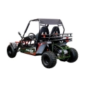 Dwuosobowe buggy spalinowe Asix 200cc dla nastolatków i dorosłych - zielony
