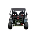 Dwuosobowe buggy spalinowe Asix 200cc dla nastolatków i dorosłych - zielony