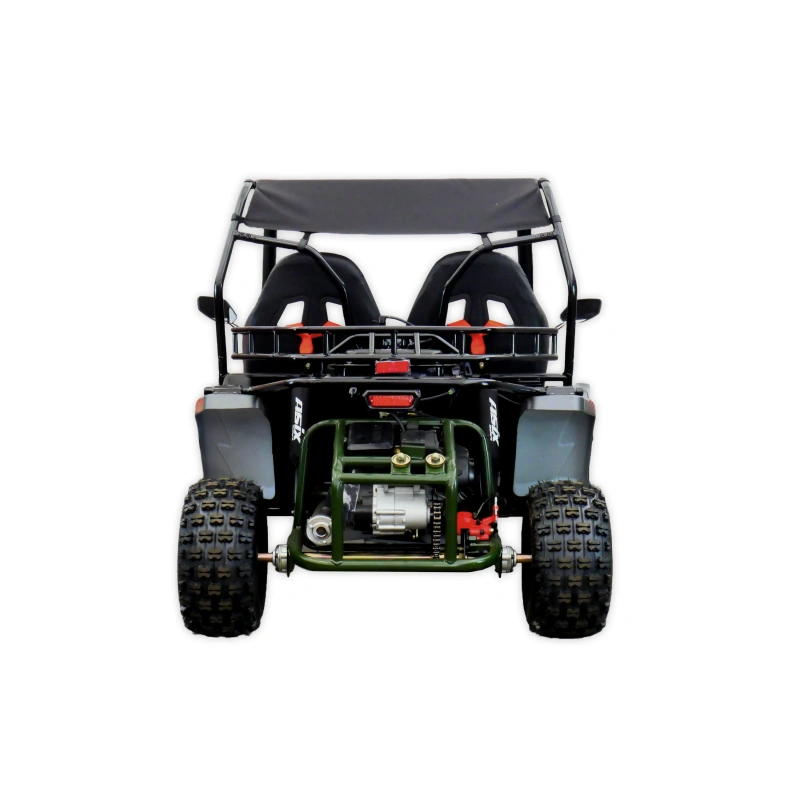 Dwuosobowe buggy spalinowe Asix 200cc dla nastolatków i dorosłych - zielony