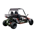 Dwuosobowe buggy spalinowe Asix 200cc dla nastolatków i dorosłych - zielony