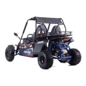 Dwuosobowe buggy spalinowe Asix 200cc dla nastolatków i dorosłych - niebieski