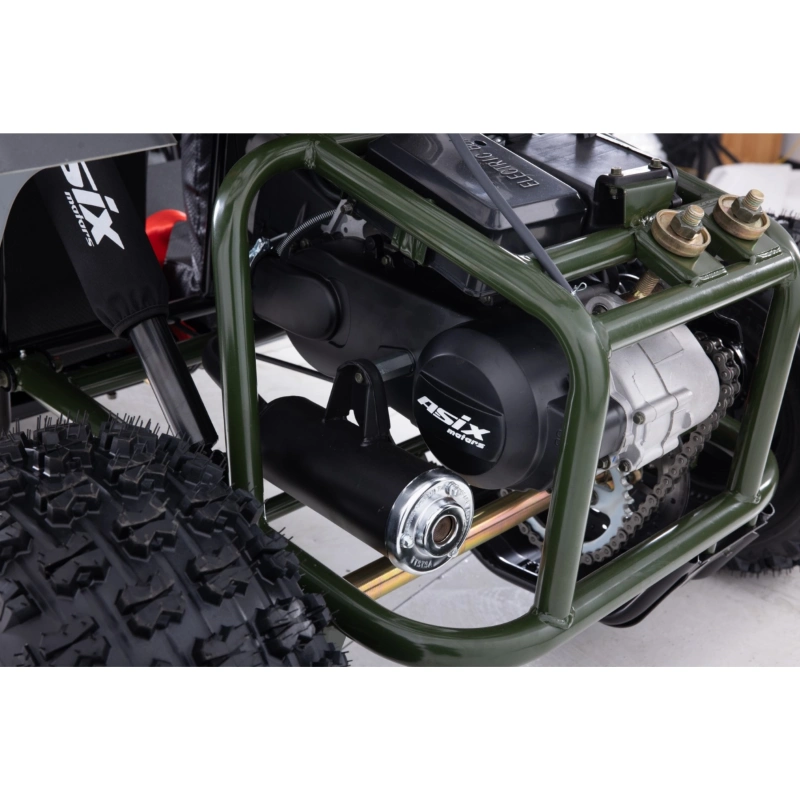 Dwuosobowe buggy spalinowe Asix 200cc dla nastolatków i dorosłych