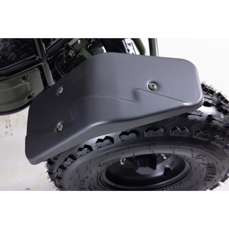 Dwuosobowe buggy spalinowe Asix 200cc dla nastolatków i dorosłych