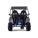Dwuosobowe buggy spalinowe Asix 200cc dla nastolatków i dorosłych - niebieski