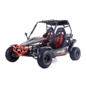 Dwuosobowe buggy spalinowe Asix 200cc dla nastolatków i dorosłych - zielony