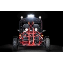 Dwuosobowe buggy spalinowe BS 250cc dla nastolatków i dorosłych - czerwony