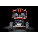 Dwuosobowe buggy spalinowe BS 250cc dla nastolatków i dorosłych - czerwony