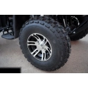 Dwuosobowe buggy spalinowe BS 250cc dla nastolatków i dorosłych - czerwony