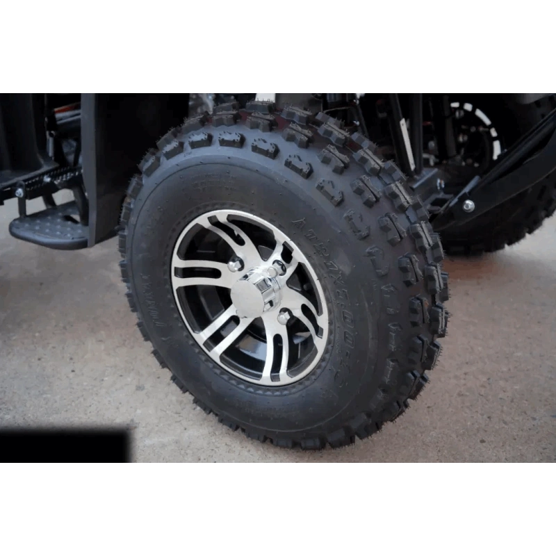 Dwuosobowe buggy spalinowe BS 250cc dla nastolatków i dorosłych - czerwony