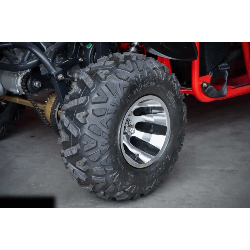 Dwuosobowe buggy spalinowe BS 250cc dla nastolatków i dorosłych - czerwony