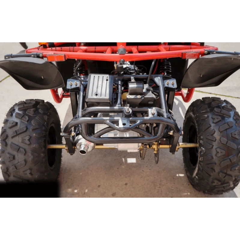 Dwuosobowe buggy spalinowe BS 250cc dla nastolatków i dorosłych - czerwony