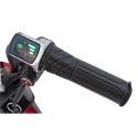 Motorek typu mini Harley - Speed Power Pro 24V 250W - czerwony