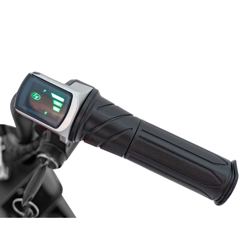 Motorek typu mini Harley - Speed Power Pro 24V 250W - czarny