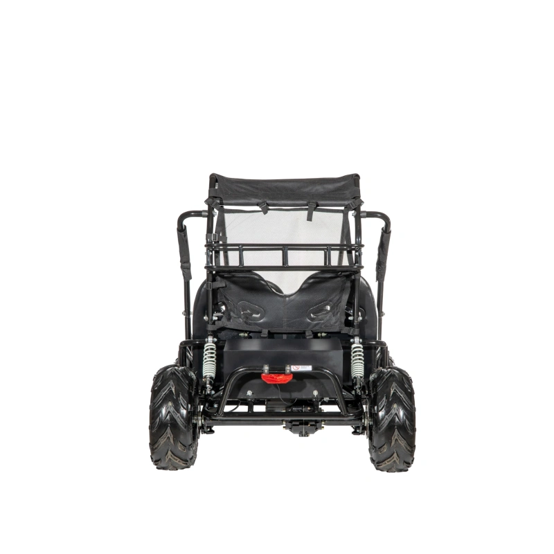 Dwuosobowe elektryczne mini buggy - POWER BUGGY X2 - 1500W - 40km/h - zielony