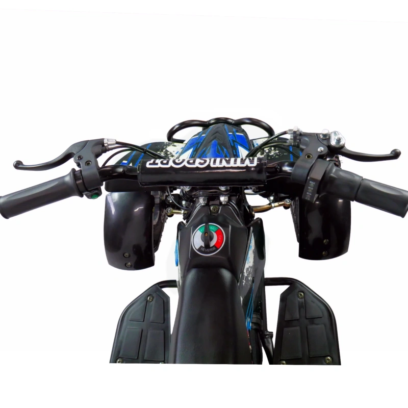 Mini quad elektryczny ATV Sprint 36V 500W - niebieski