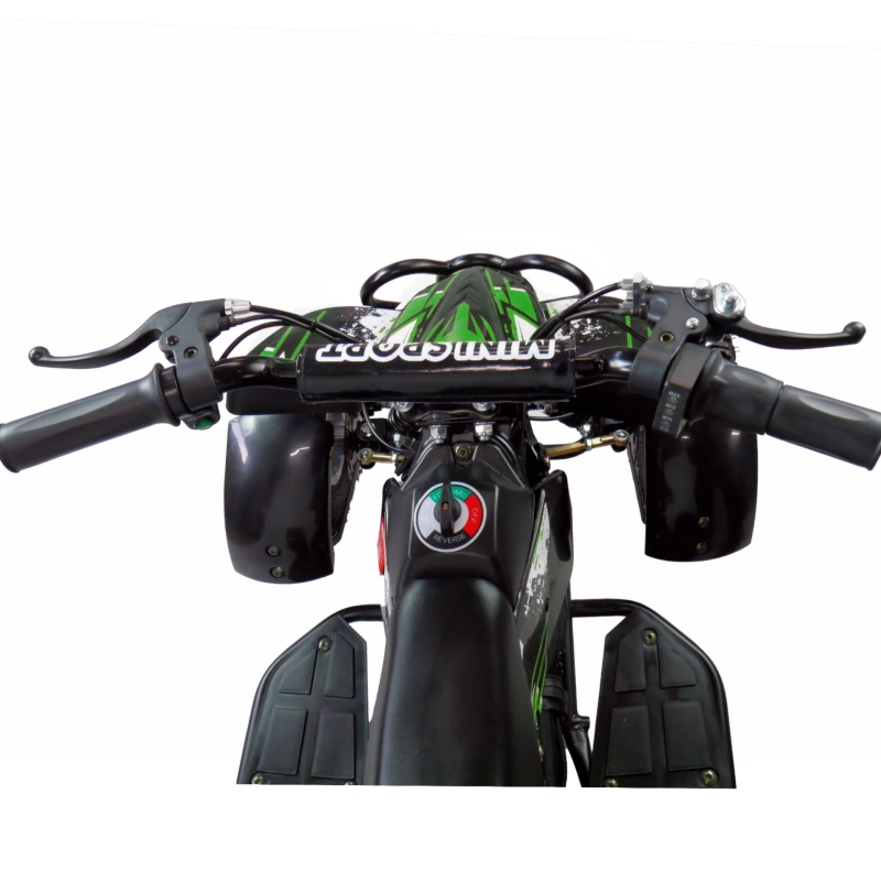 Mini quad elektryczny ATV Sprint 36V 500W - zielony