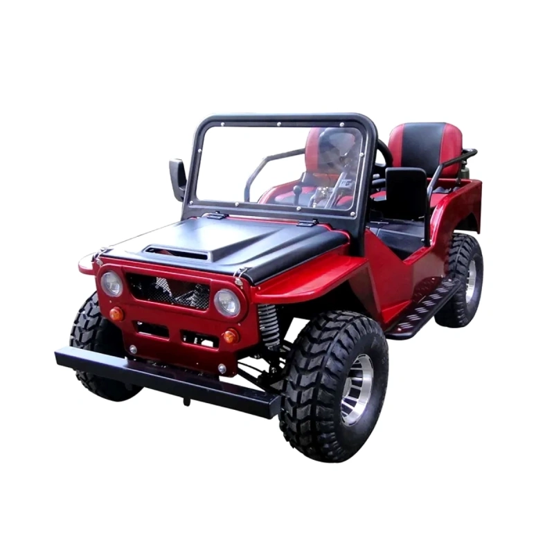 Auto dla dziecka w stylu Mini Jeep - tylko na zamówienie