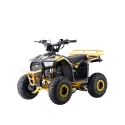 Mini quad spalinowy Explorer - 110cc - żółty