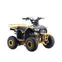 Mini quad spalinowy Explorer - 110cc - żółty