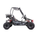 Dwuosobowe buggy spalinowe ASIX 125cc - szary