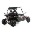 Dwuosobowe buggy Asix 200cc dla nastolatków i dorosłych - szary