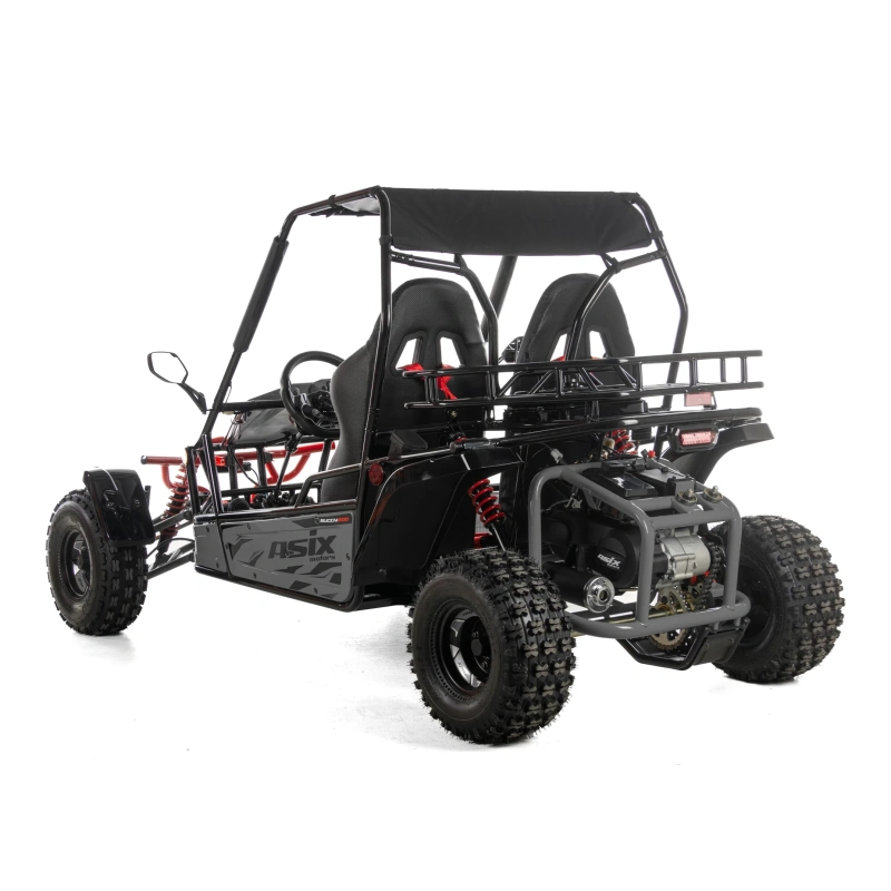 Dwuosobowe buggy Asix 200cc dla nastolatków i dorosłych - szary