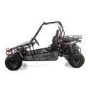 Dwuosobowe buggy Asix 200cc dla nastolatków i dorosłych - szary