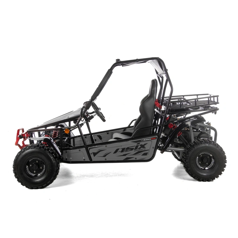 Dwuosobowe buggy Asix 200cc dla nastolatków i dorosłych - szary