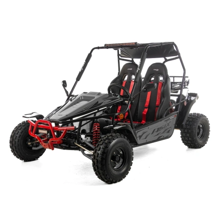 Dwuosobowe buggy Asix 200cc dla nastolatków i dorosłych - szary