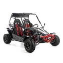 Dwuosobowe buggy Asix 200cc dla nastolatków i dorosłych - szary