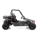 Dwuosobowe buggy Asix 200cc dla nastolatków i dorosłych - szary