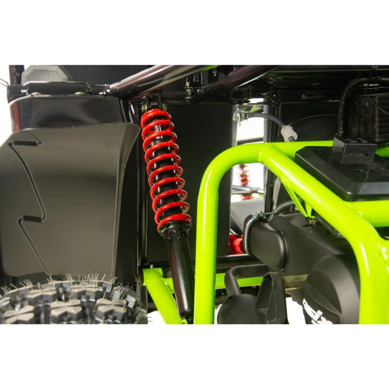 Dwuosobowe buggy Asix 200cc dla nastolatków i dorosłych - szary