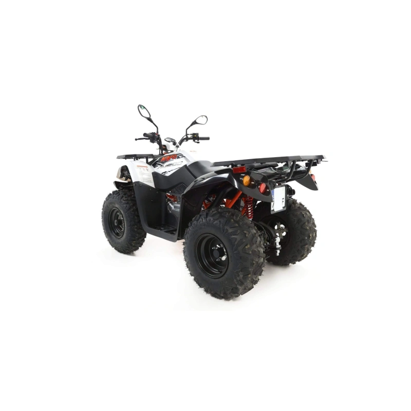 QUAD KAYO AU200 - 200CC - HOMOLOGACJA - KUP TERAZ!