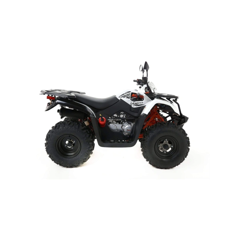 QUAD KAYO AU200 - 200CC - HOMOLOGACJA - KUP TERAZ!