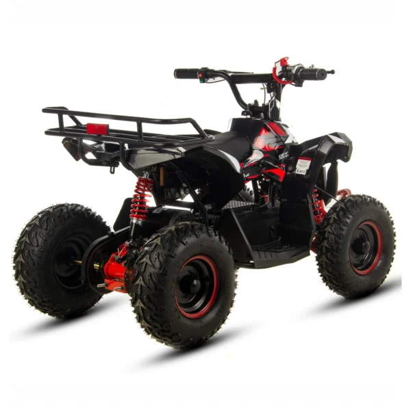 MINI QUAD XTR E-M12 800W