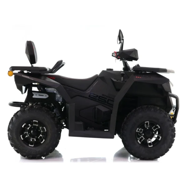 QUAD-ASIX-CYBER-250-CZARNY-5 Quad ASIX Cyber 250 T3B
