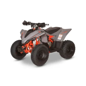 Quad ASIX GRIZZLY 125