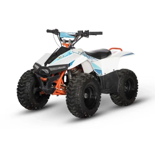 QUAD-KAYO-eA70-1 Quad KAYO eA70