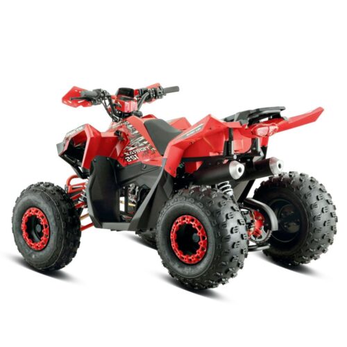 Quad BARTON TERRAX 125