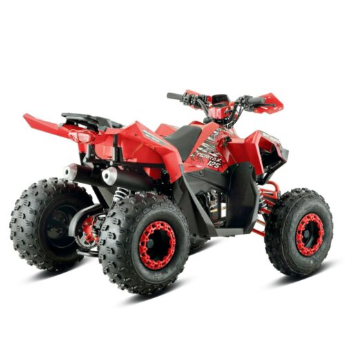 Quad BARTON TERRAX 125
