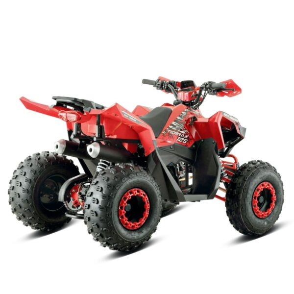 Quad BARTON TERRAX 125