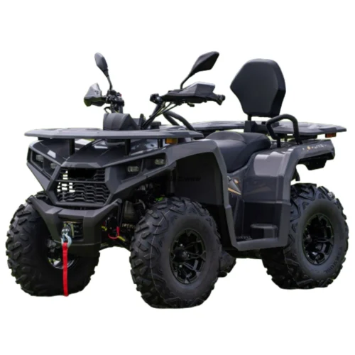 Quad DIABOLINI TERRAX300
